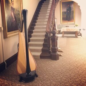 Harpist at the Strawn Art Gallery