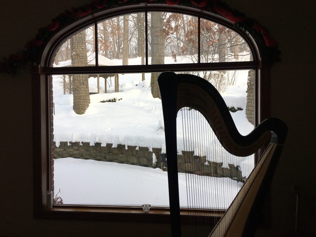 Willow Springs Harpist
