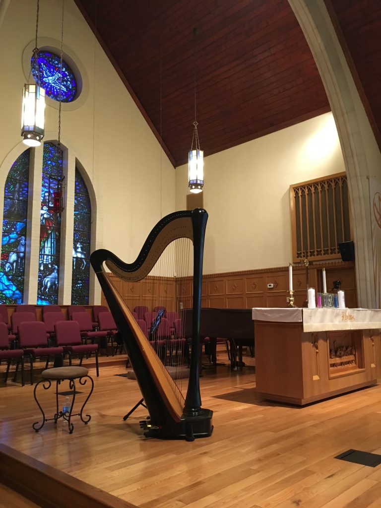 Harpist in NW Indiana