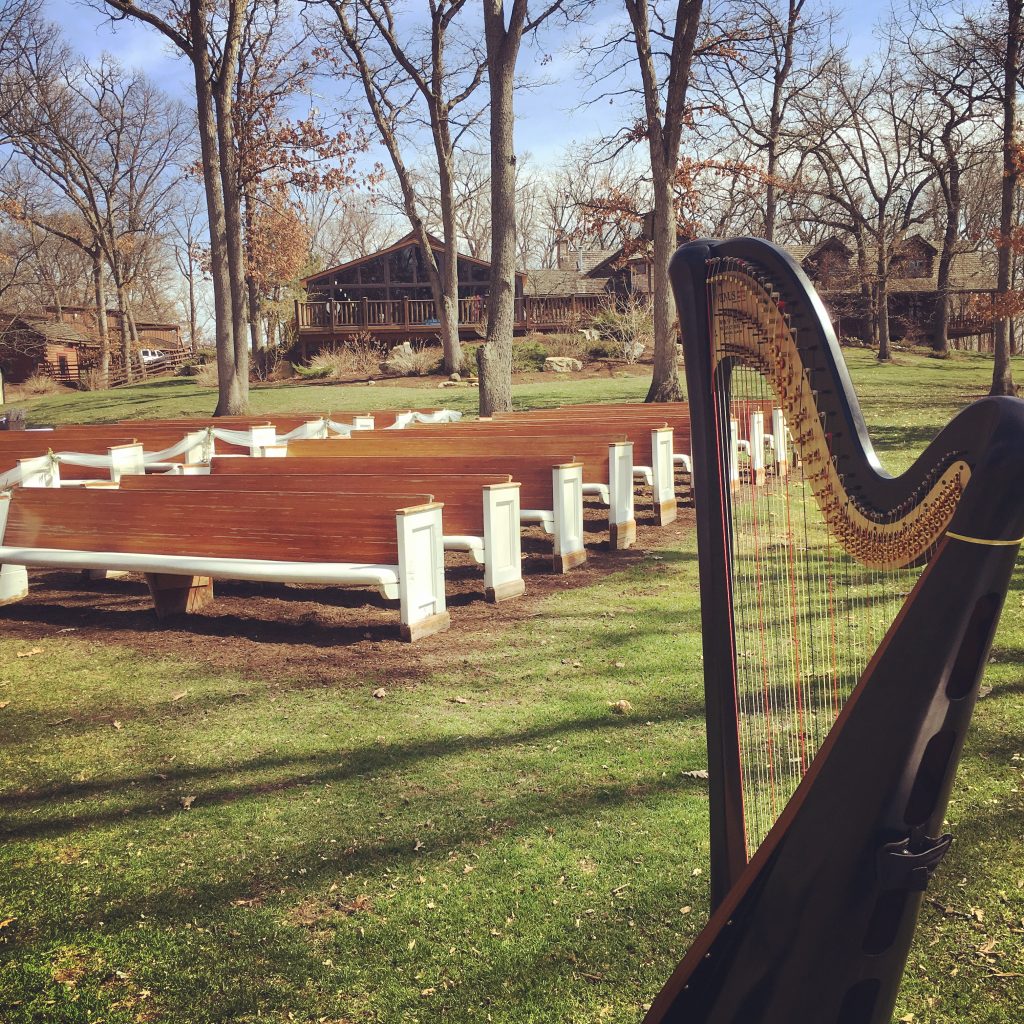 Rockford IL Wedding Harpist