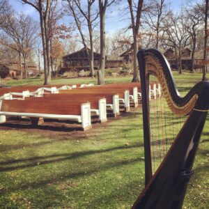 Northern Illinois Harpist
