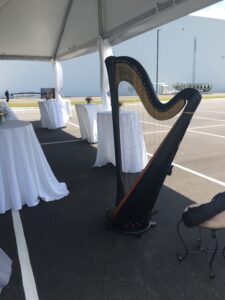 Tuscaloosa Alabama Harpist