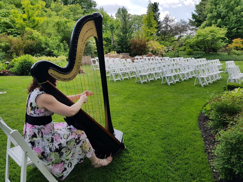 Harpist Wheatfield IN