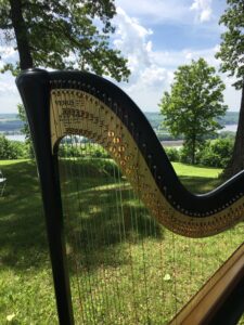 Dubuque IA Harpist