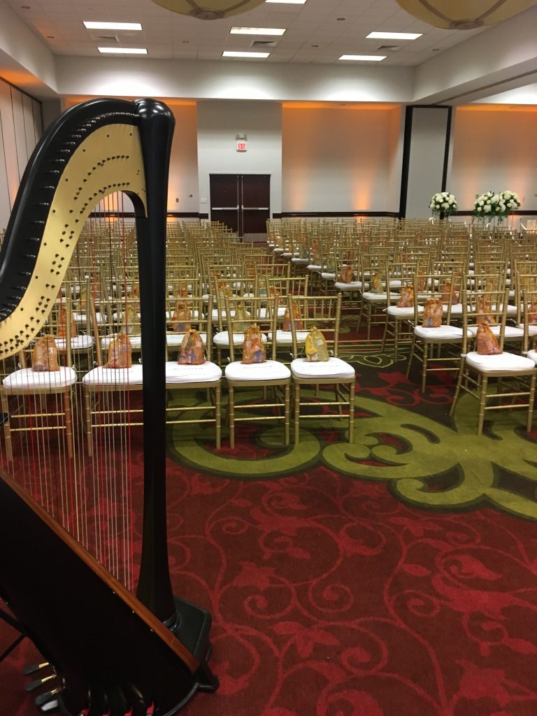 Musician for Indian Wedding