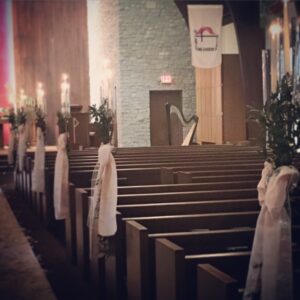 Evansville Harpist