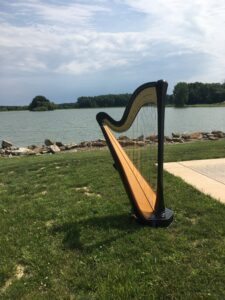 Youngstown OH Harpist
