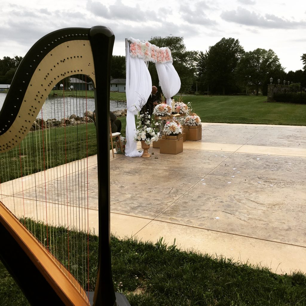 Youngstown OH Harpist