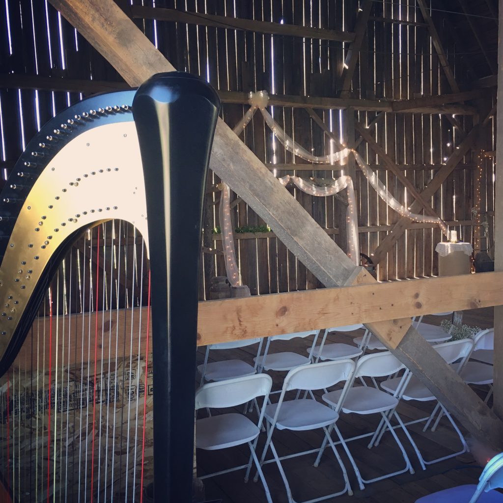 Northern Wisconsin Wedding Harpist