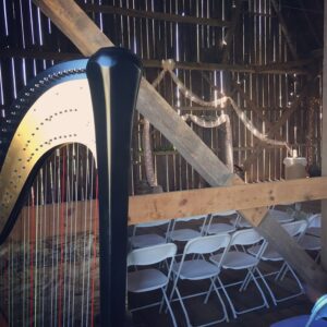 Northern Wisconsin Harpist