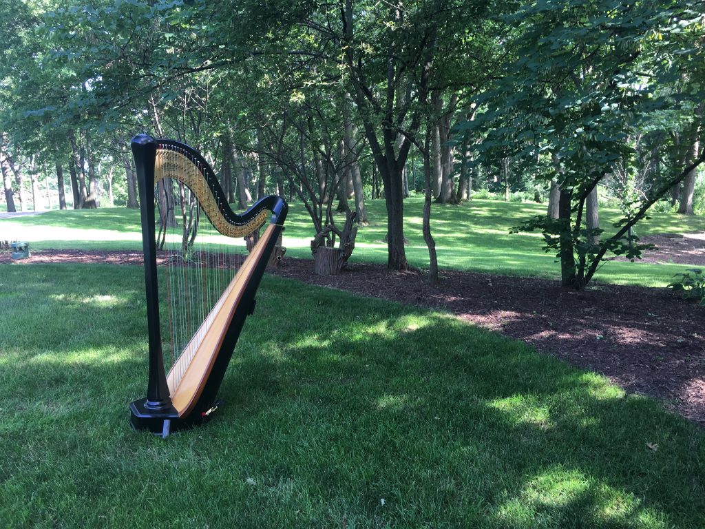 Wedding Harpist Chicago