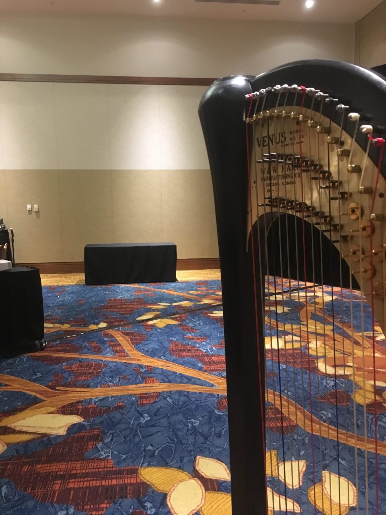Hire a Harp Player Indy