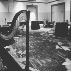 Hire a Harpist Indy