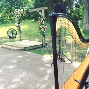 Iowa City Harp & Violin Duet