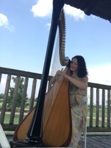 Best Harpist Central Illinois