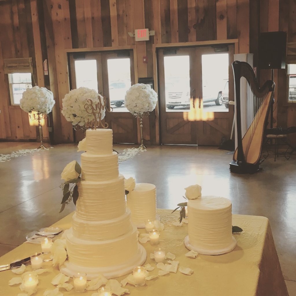 Wedding Reception Harp Indiana