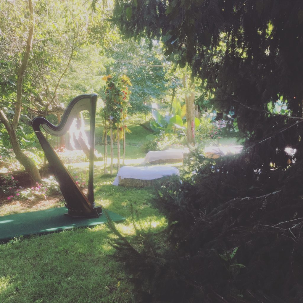 Southern Indiana Wedding Harpist