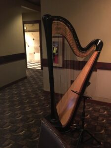 Harpist in Wisconsin Dells
