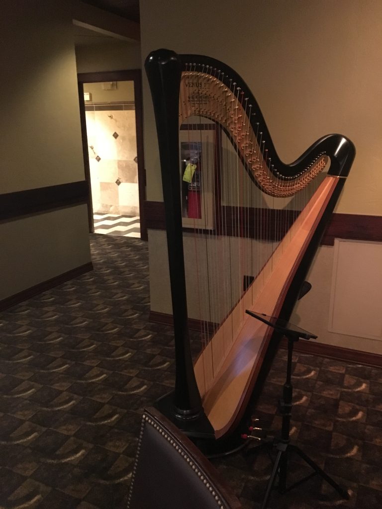 Wedding Harpist Wisconsin Dells