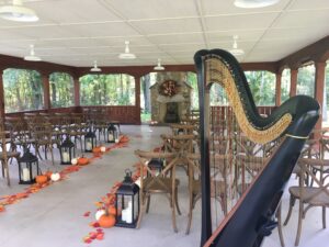 Northern IN Wedding Harpist