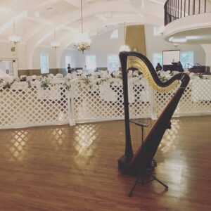 Book a Harpist Central IL