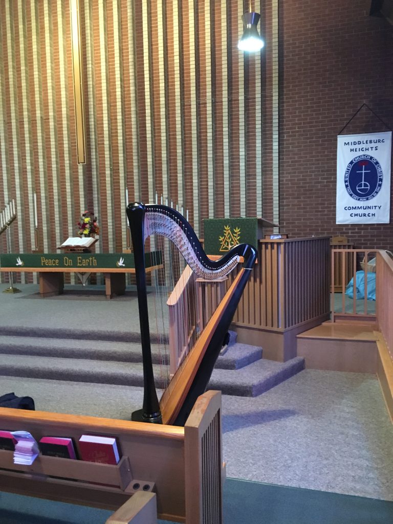 Cleveland Harpist