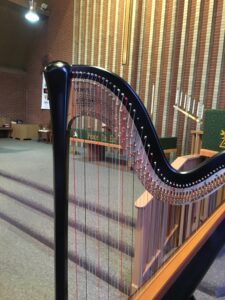 Cleveland Wedding Harpist