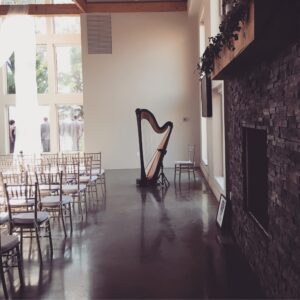 Champaign IL Wedding Harpist