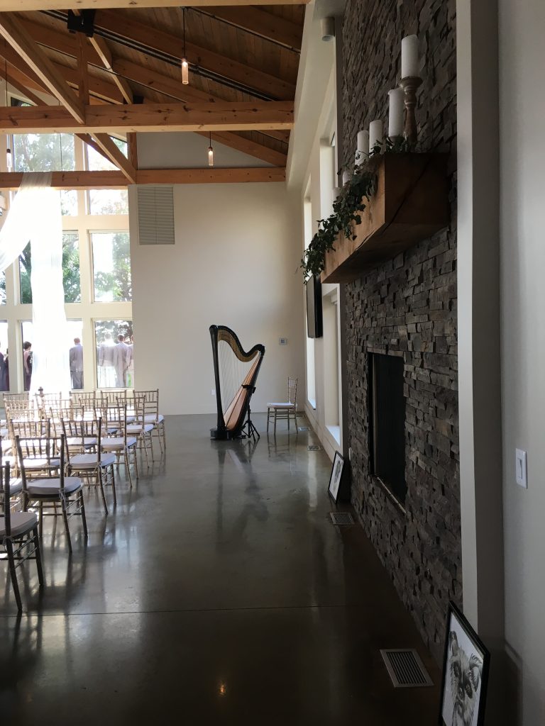 Champaign Wedding Harpist