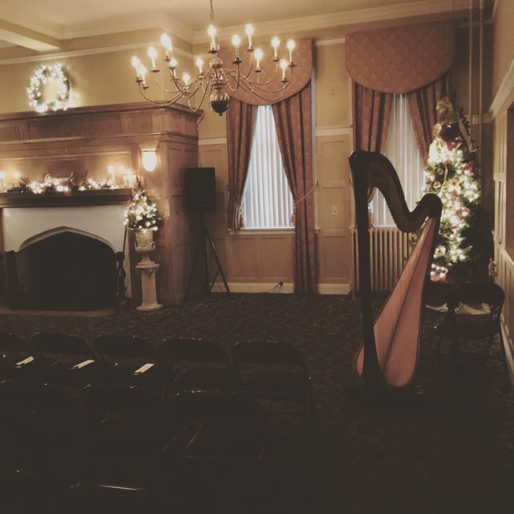 Harpist for Wedding Central Illinois