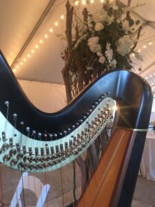 Tennessee Wedding Harpist
