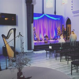 Columbia IL Harpist