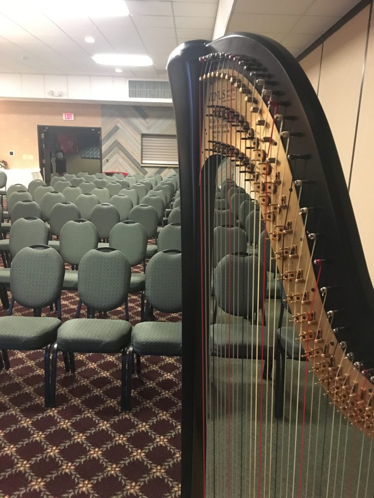 Waupaca Harpist