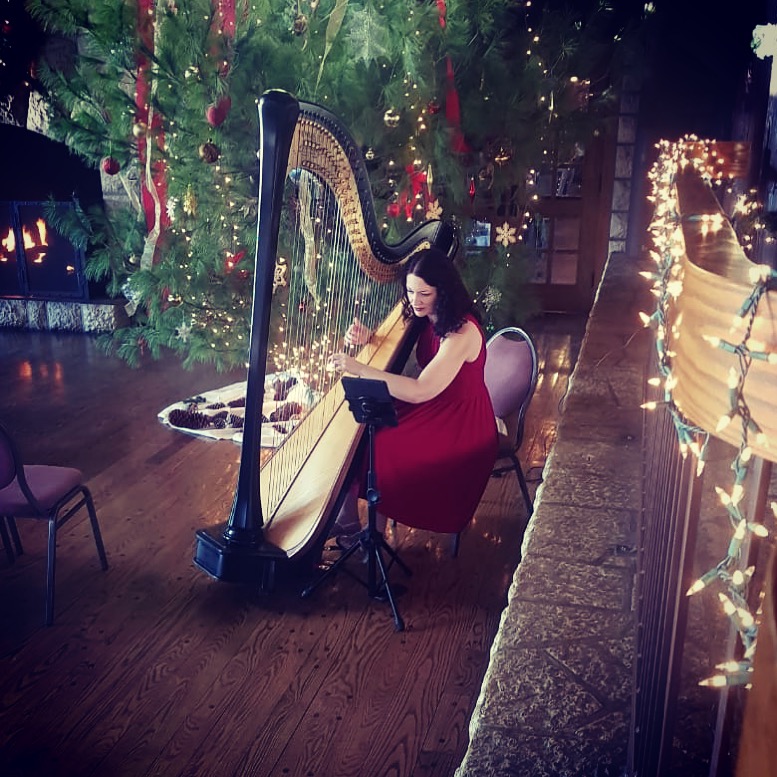 Harp for a Wedding St. Louis