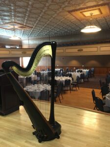 Decorah Harpist
