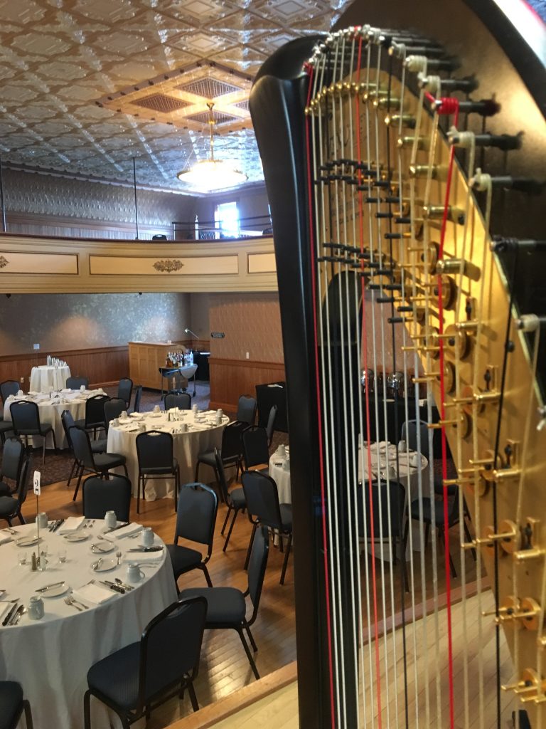 Harpist in Decorah Iowa