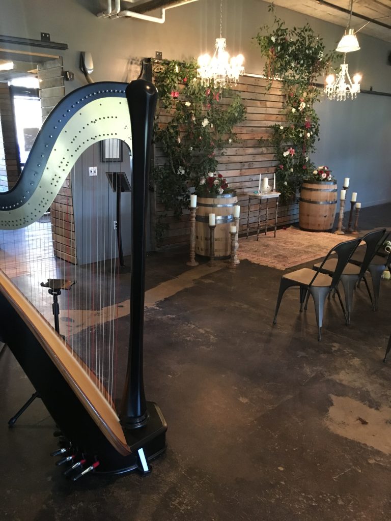 Three Oaks MI Harpist