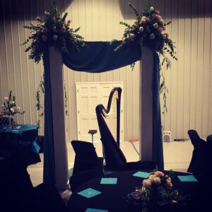 Harpist in West Tennessee