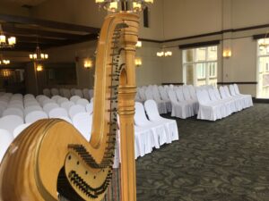 London Ontario Wedding Harpist
