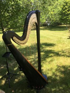 Champaign IL Harpist