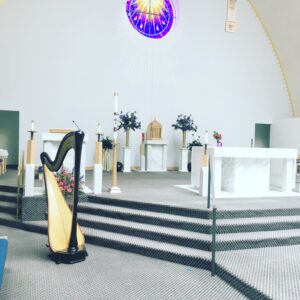 Peoria Wedding Harpist