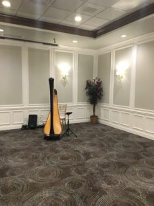 Wedding Harpist in Decatur