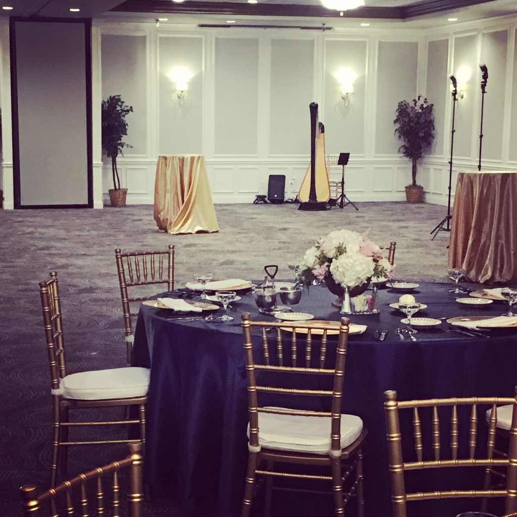 Decatur Harpist for Weddings