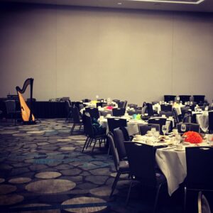 Harpist for Conventions Iowa