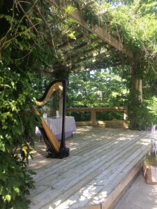 West Michigan Wedding Harpist