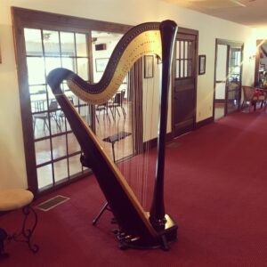 Springfield OH Harpist