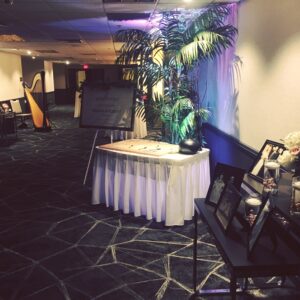 Hire a Harpist in Madison WI