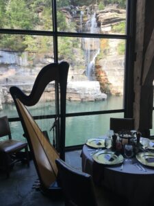 Harpist in Branson
