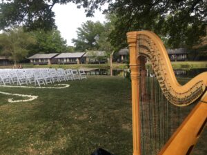 Wedding Harpist Southern IL