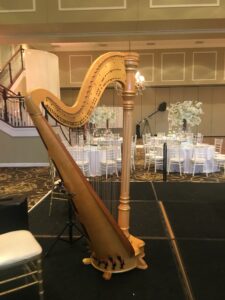 Chicago Wedding Harpist